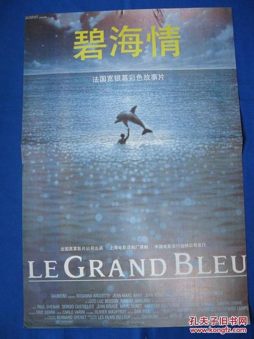 仿制假墨西哥护照